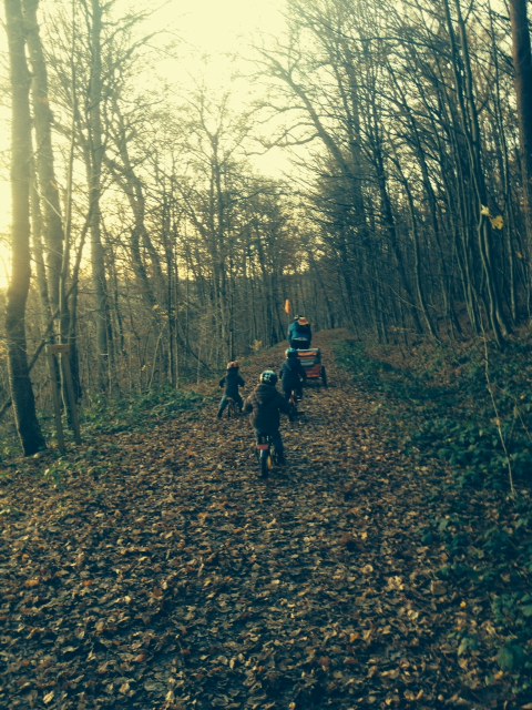 Im Herbst im Wald
